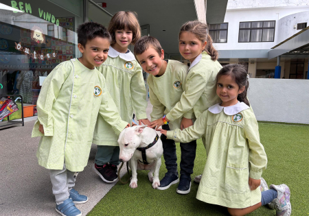 Alunos ajudam os gatinhos de rua